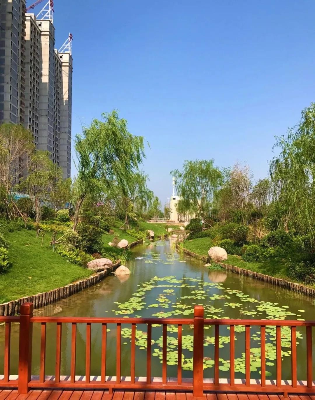 濮阳星河湾"春暖星河湾,快乐游龙湖"小伙伴们赶快行动吧祝您度过精彩