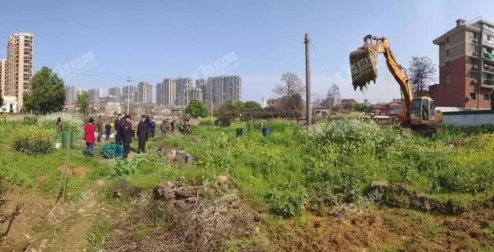 金华湖海塘区块再添一个新小区,规划5栋多层楼房