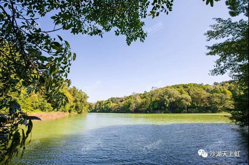 沙湖天上虹|生活意境,岁月静好.-韶关楼盘网