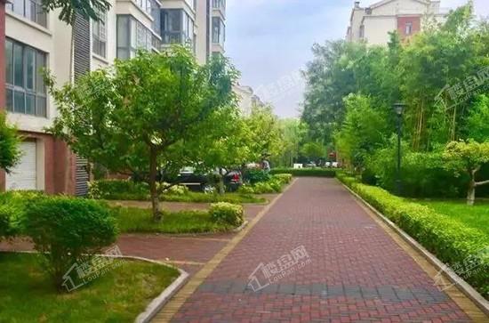 橡树·上尚城 | 十一载同行 敬献桓台 多盘联动 恭迎品鉴-淄博楼盘网