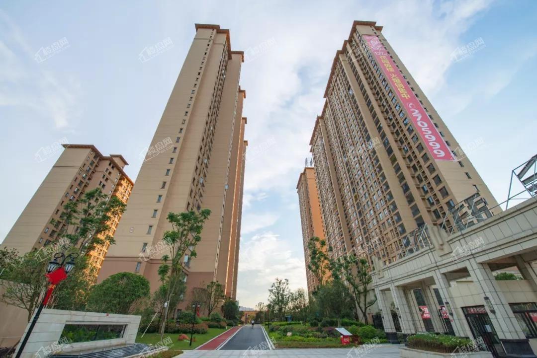 [金科城]限量加推-郴州楼盘网