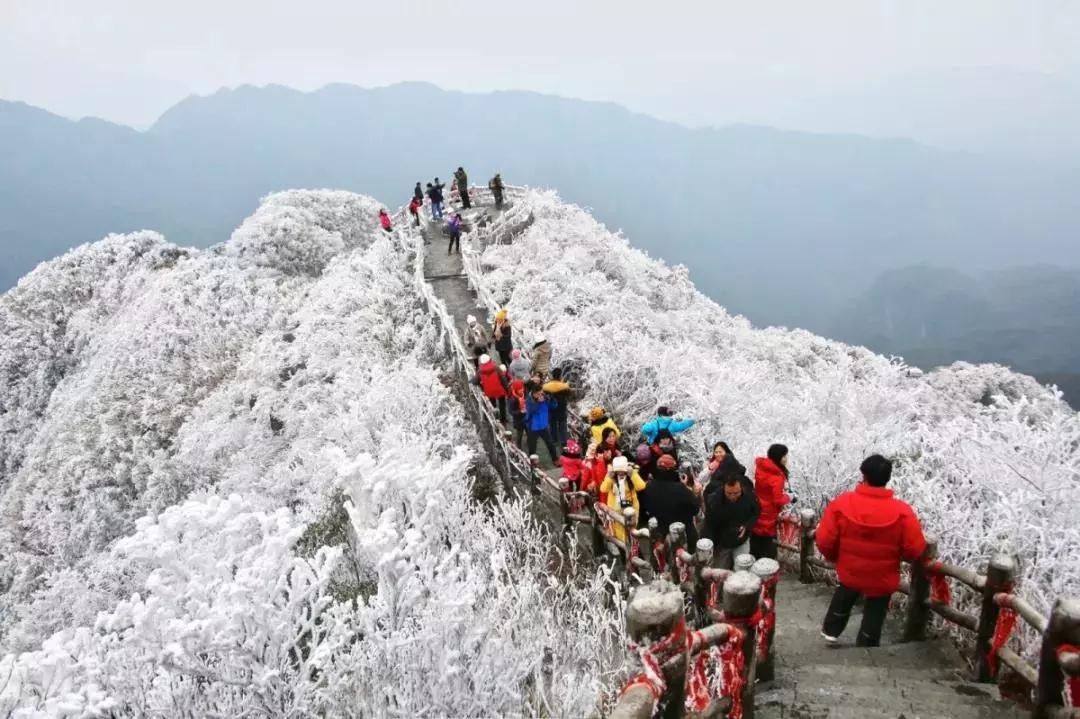 广西大明山南国雪景|大明山管委会