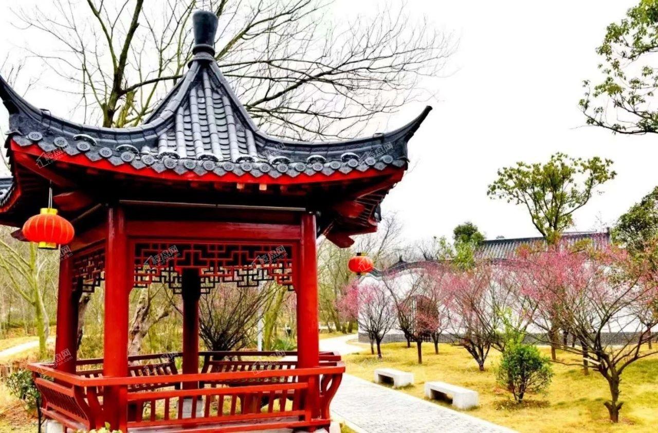 源盛公园里绿化率,源盛公园里地址,赣县源盛公园里