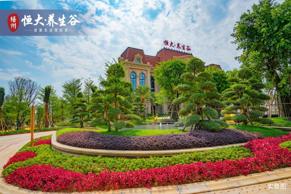 梧州恒大养生谷示范区盛大开放 近千人到场