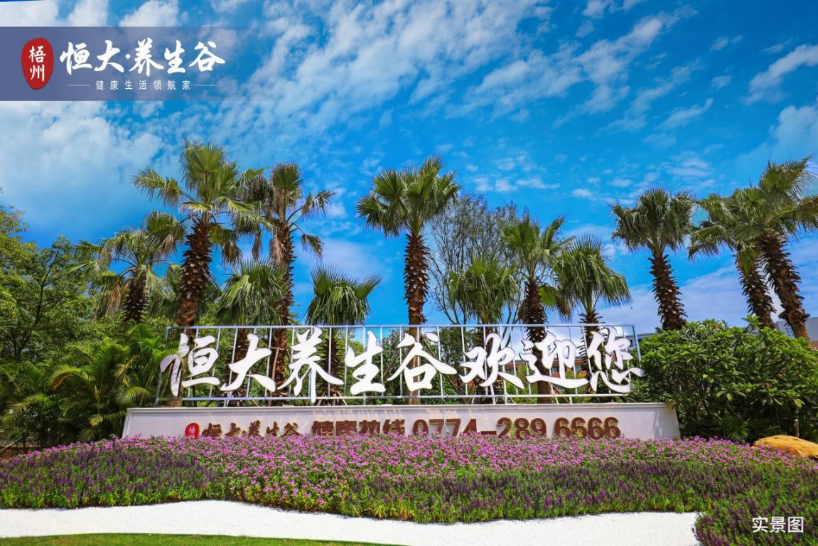 梧州恒大养生谷示范区盛大开放 近千人到场