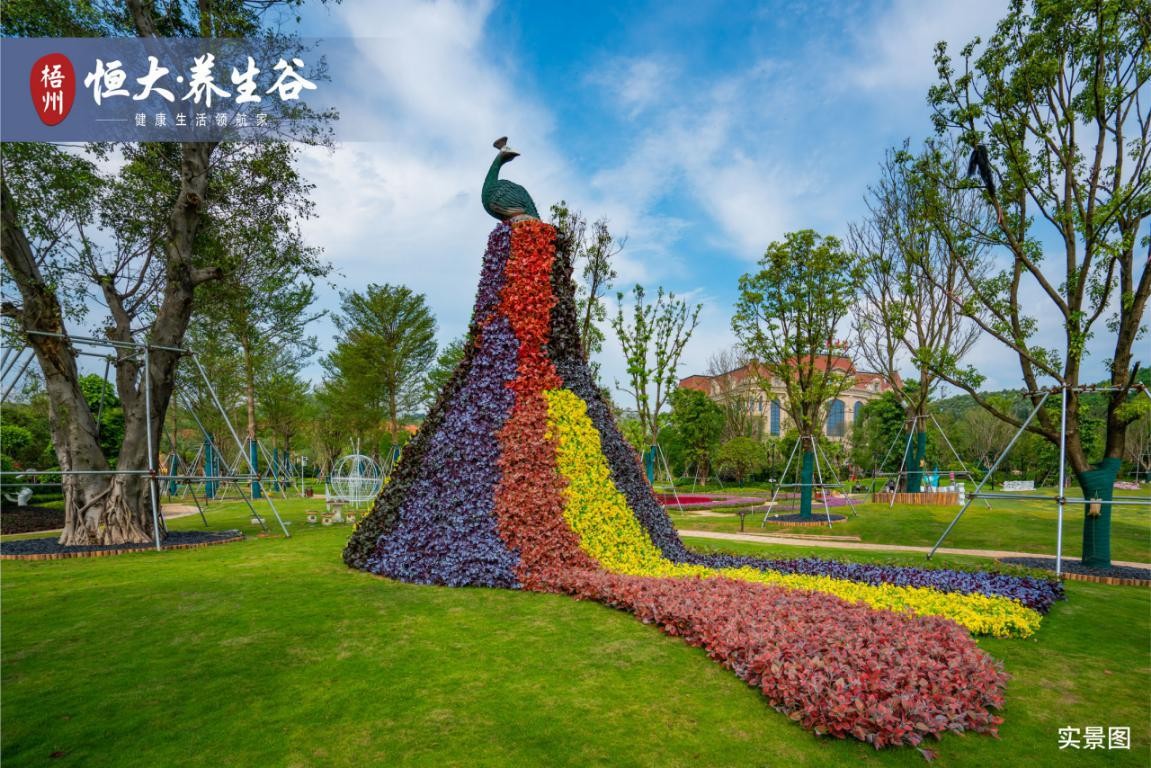 梧州恒大养生谷展示区盛大开放 赚足人气