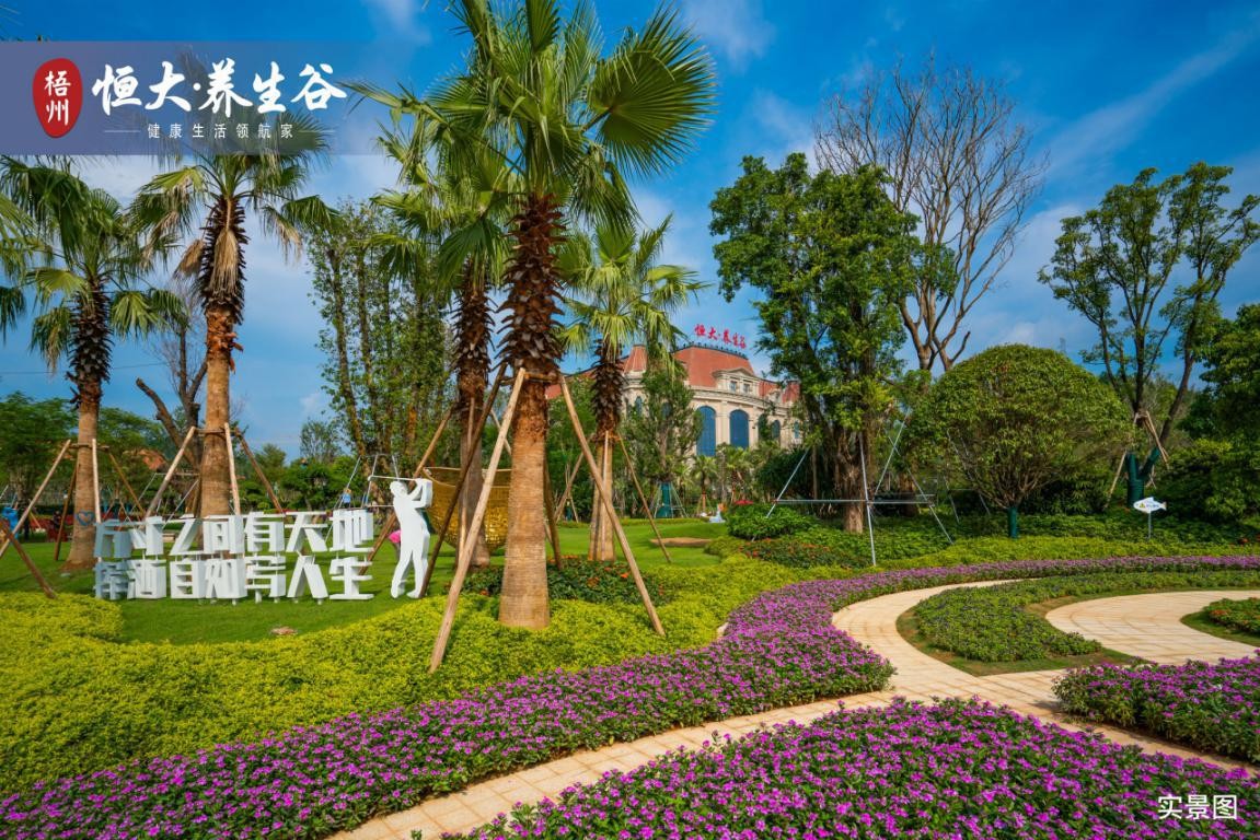 梧州恒大养生谷展示区盛大开放 赚足人气