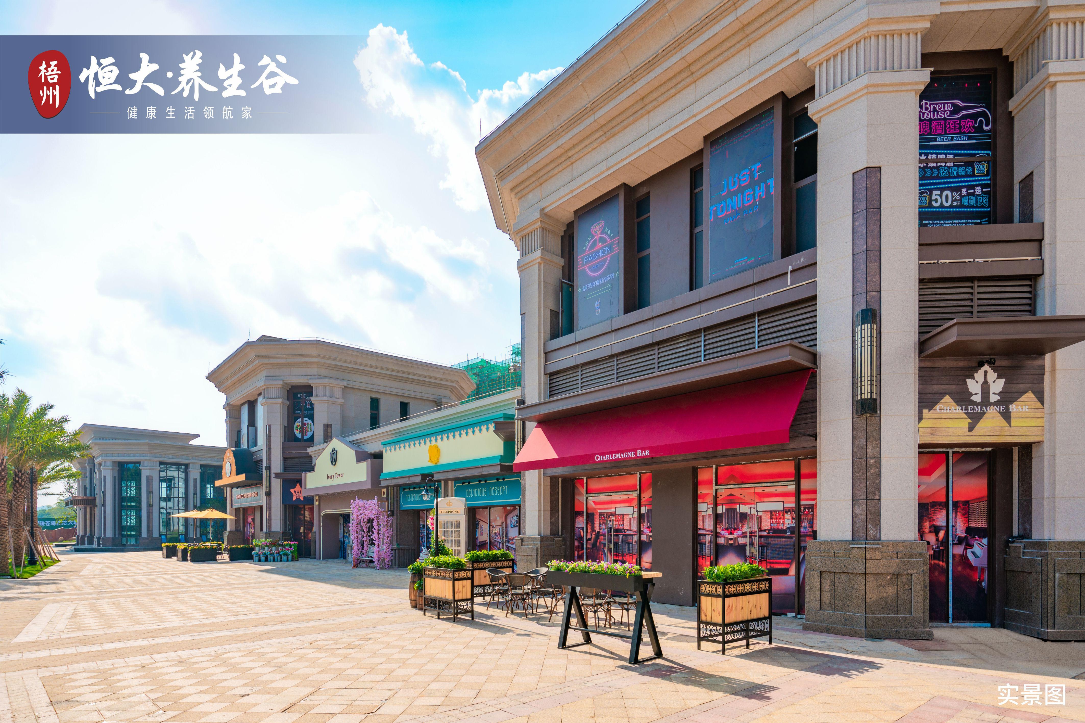 梧州恒大养生谷展示区盛大开放 赚足人气