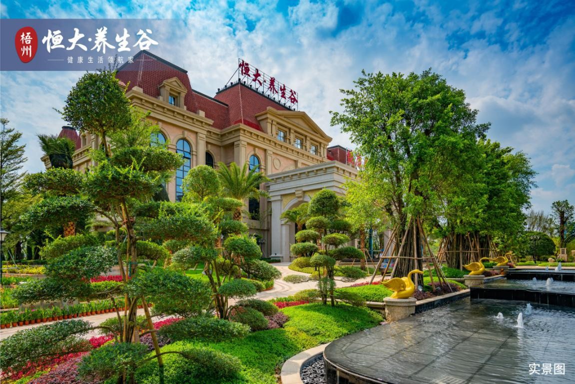惊艳亮相 定鼎苍海 梧州恒大养生谷实景园林华丽绽放