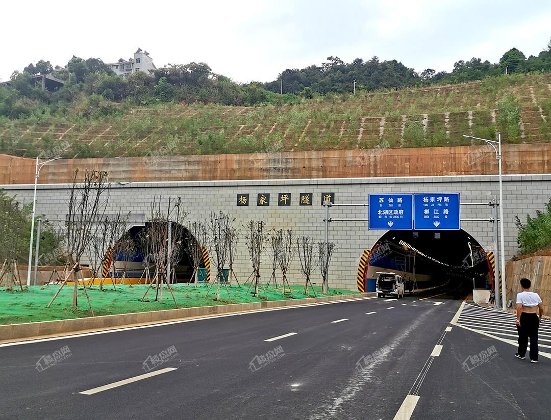 (杨家坪隧道口实景)