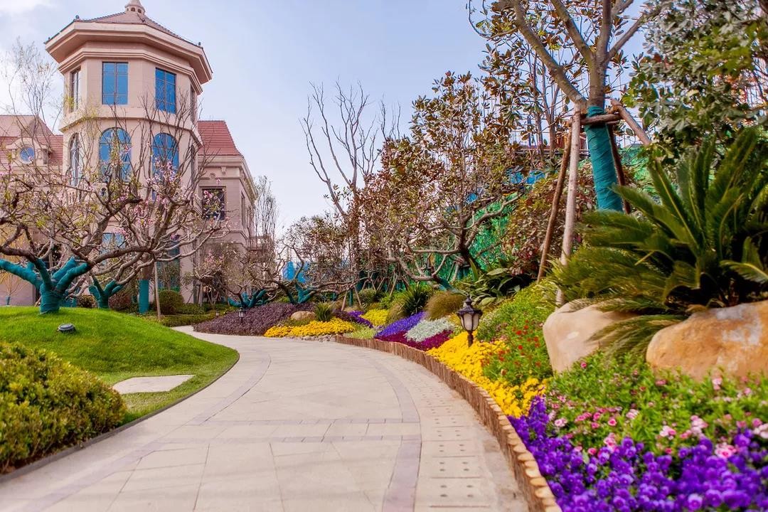 (园林实景图) 园艺景观