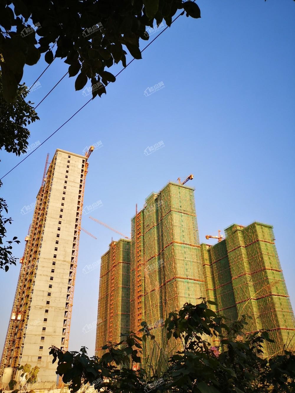 [华东雅苑]10月工程进度播报-郴州楼盘网