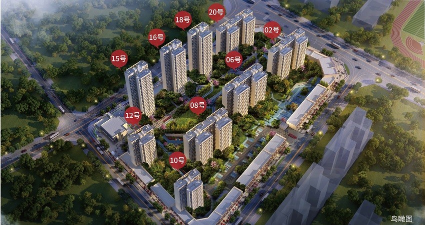 楼栋分布图.jpg