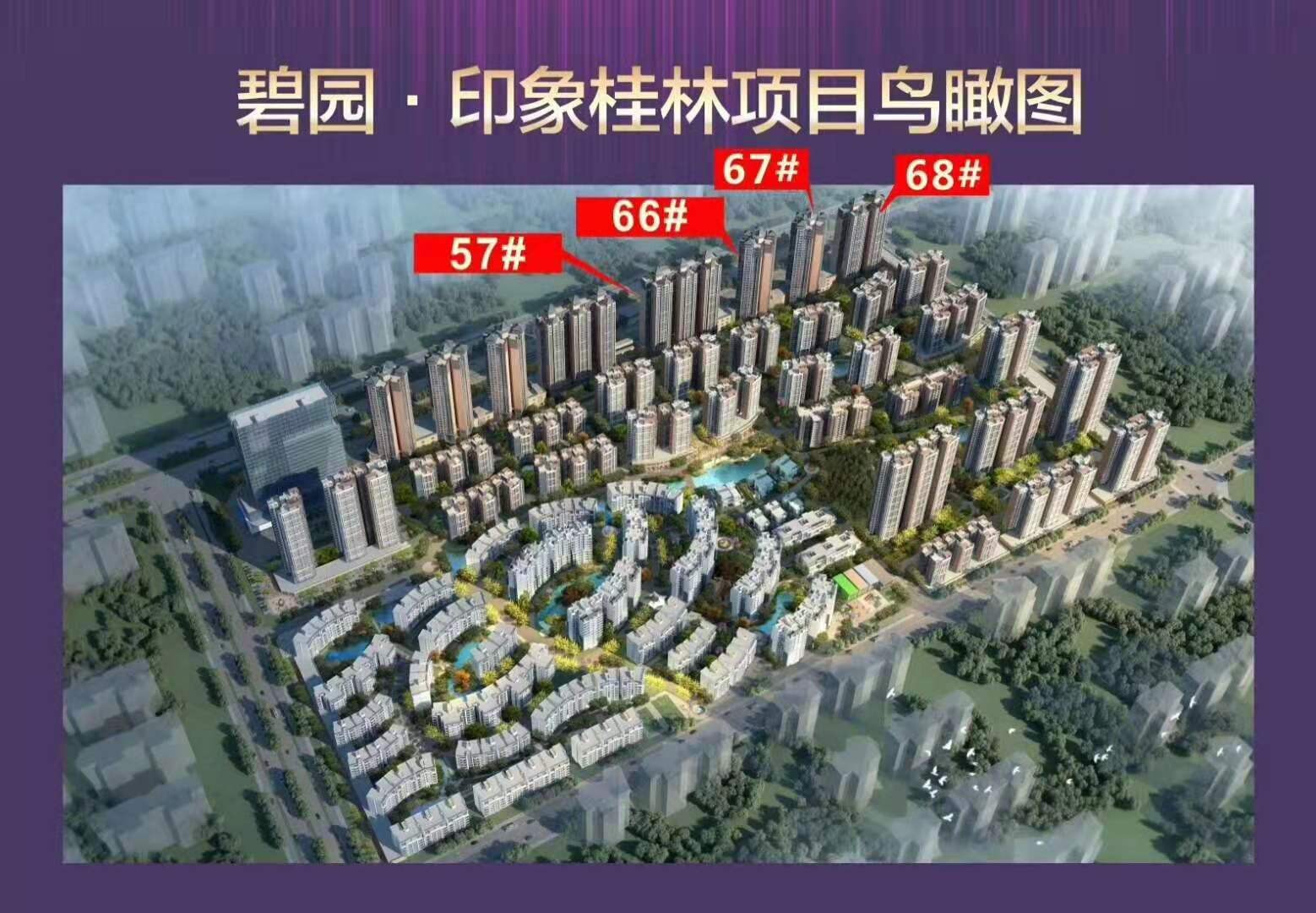 桂林碧园印象桂林的楼栋分布图