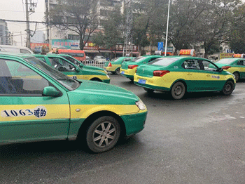 松鹤路被出租车包围了?