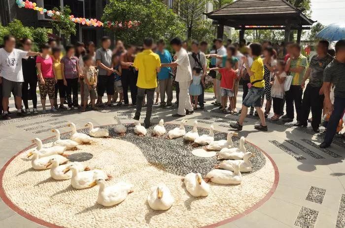 【阳光61中央公园】全民套鸭嗨翻天丨来中央公园,只要你套中,活鸭
