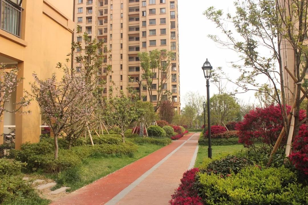 春天,探寻凤凰君庭里的"江南美景"!-安陆楼盘网
