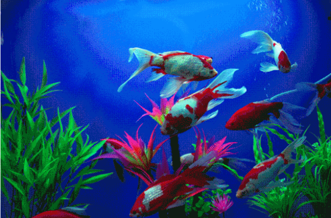 1734277533546.png image.png