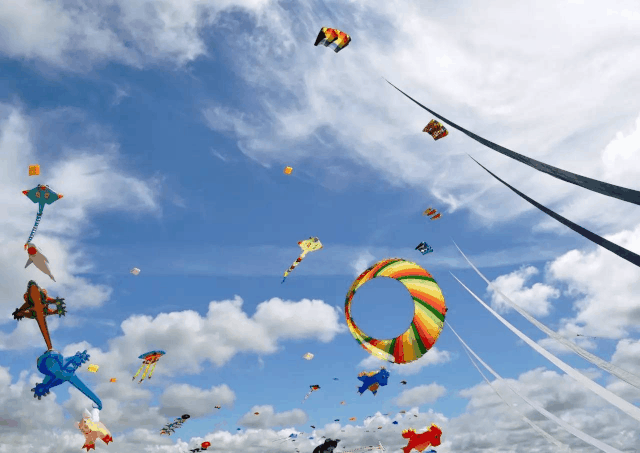 640_453gif 动态图 动图