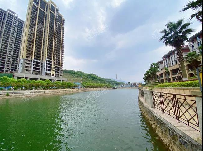 [平海九龙湾]献礼母亲节,为爱安家-郴州楼盘网