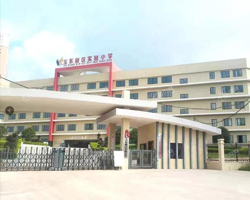 玉东新区五金市场:传统与现代交织的创新之桥
