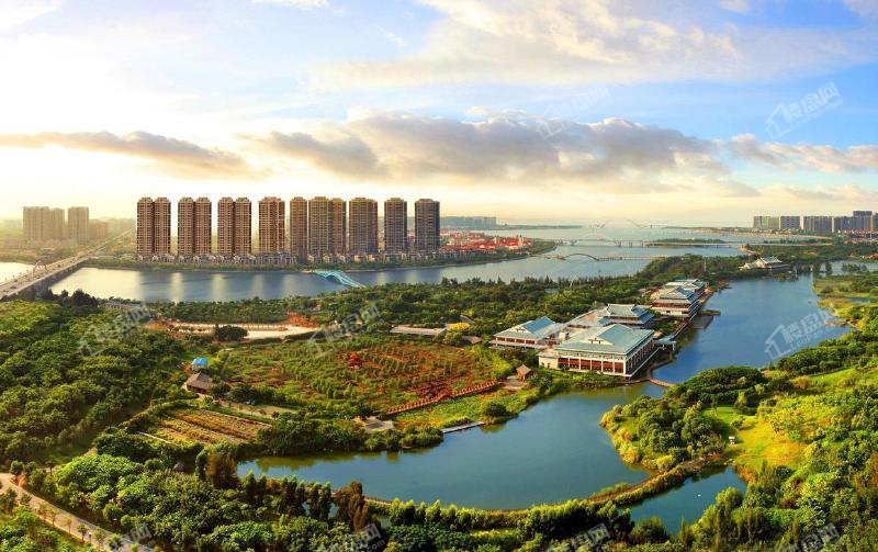 马銮湾新城最大湿地生态公园动植物的天堂