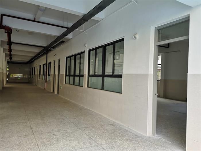 龙岩市西安小学校园搬迁公告