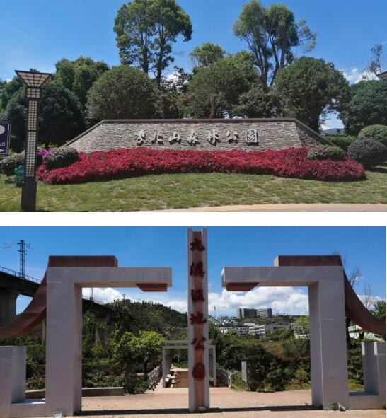 更加吸引人的是,海东又添大理海洋世界主题公园.