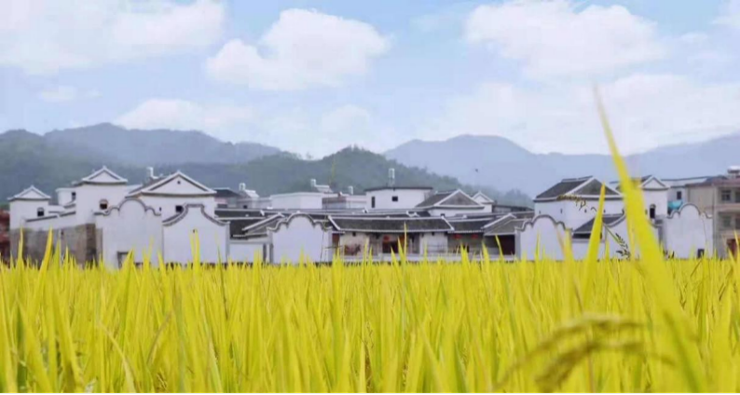 东源县康禾镇仙坑村入围全国旅游重点村!