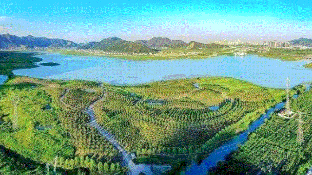 台州桐屿飞龙湖最新图片