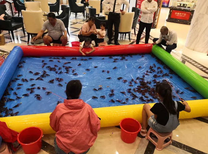 中梁淮风十里钓虾活动