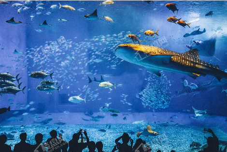 注意金华土豪营销中心来袭水上嘉年华等你来