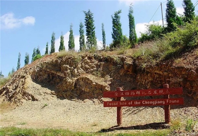 高大上!抚仙湖畔澄江化石地自然博物馆开馆