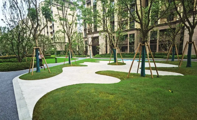 "云游"漫栖园! 别再羡慕别人家的"海绵小区"啦