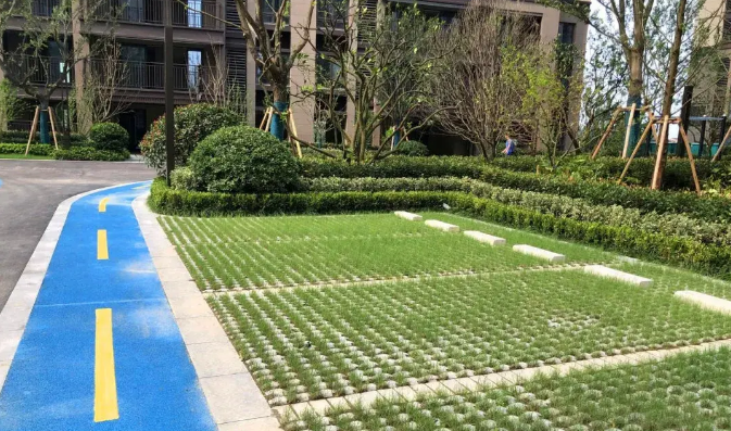彩色透水健跑道,生态停车场,场地内90%雨水可快速下渗结合雨水口布置