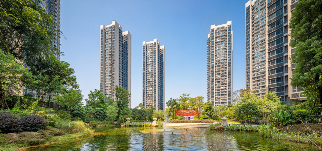 打造鱼峰高规格立体园林