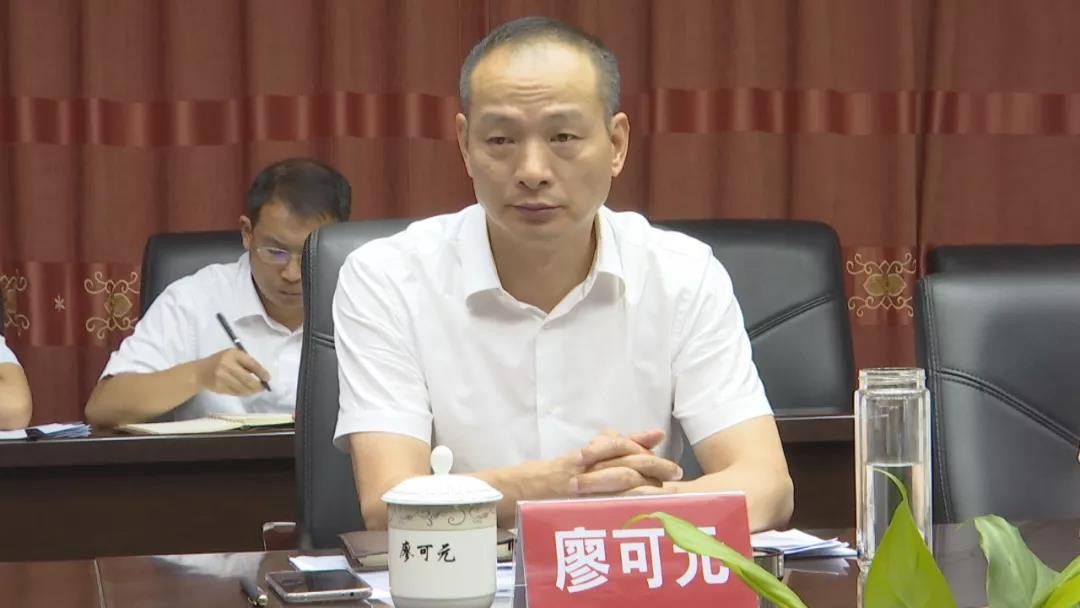 澧县重点项目建设进展!