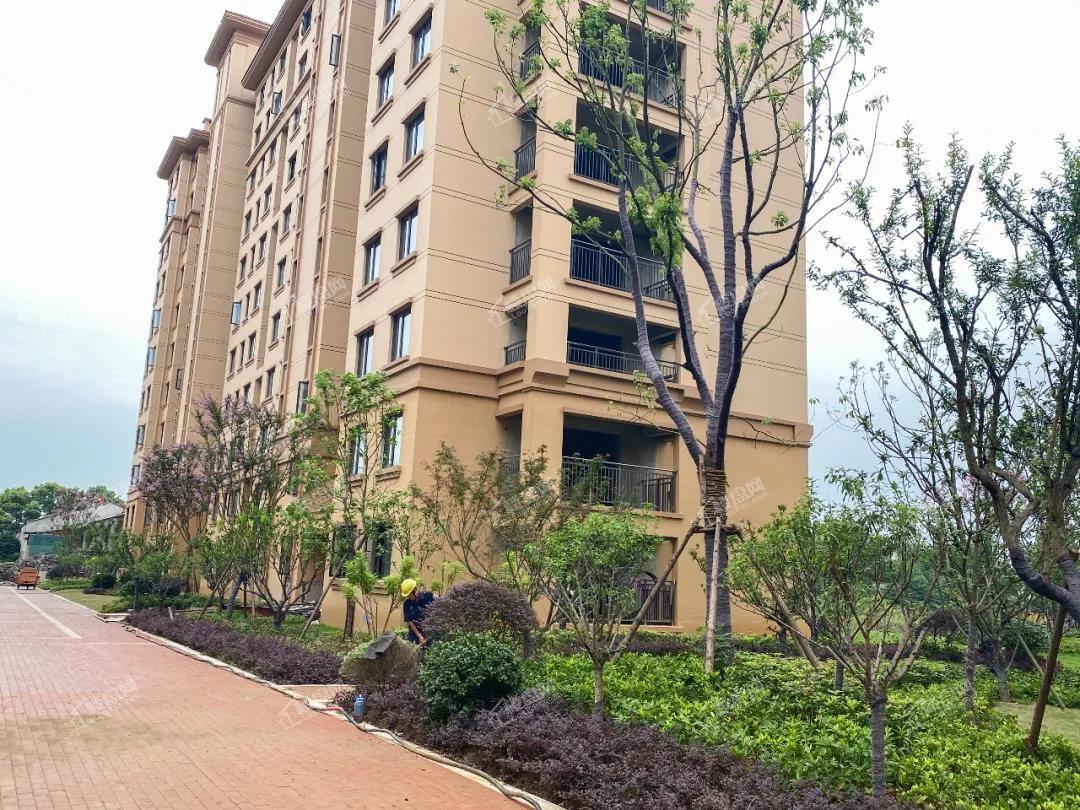 凤凰君庭丨准现房,幸福不必久候!