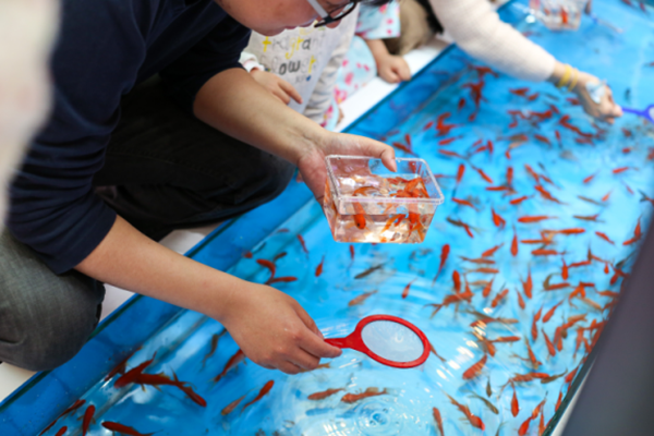 梦境中的亲子时光，与儿子共赏河中鱼群，收获满满惊喜