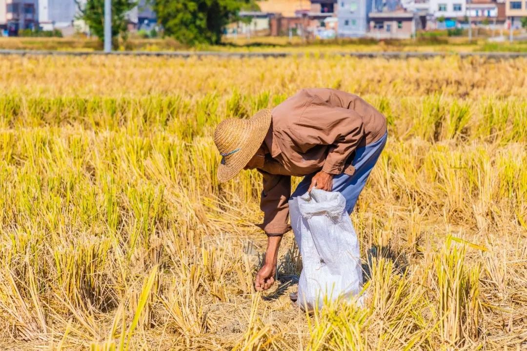 全体敏捷人,请查收秋天的第一份"爱心助农"团圆礼盒