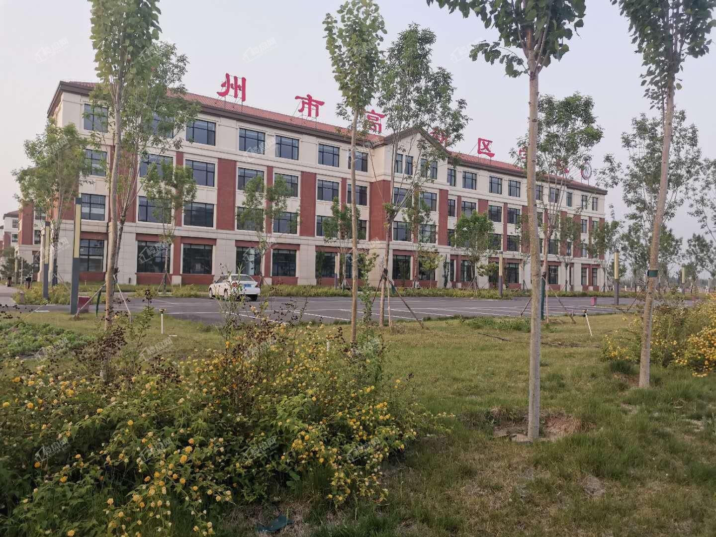 涿州高新区学校