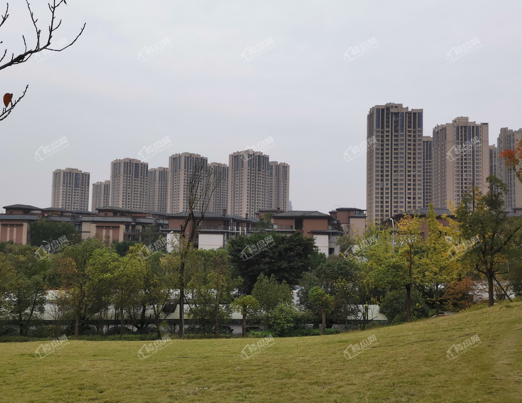 首地江山赋怎么样?值得购买吗?看看他们怎么说!