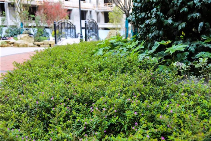 平昌华堂依山郡