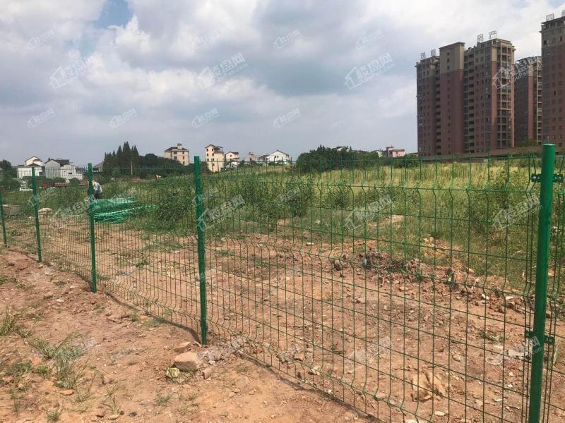 塘雅镇环镇西路地块实景图出让地块位于塘雅镇环镇西路以东,金义