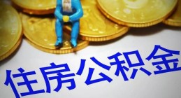 河北：15日起全面开展公积金异地贷款 不得设置附加条件