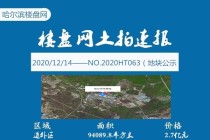 14日，道外二类居住用地兼容商业设施用地出售，每平起价2881元