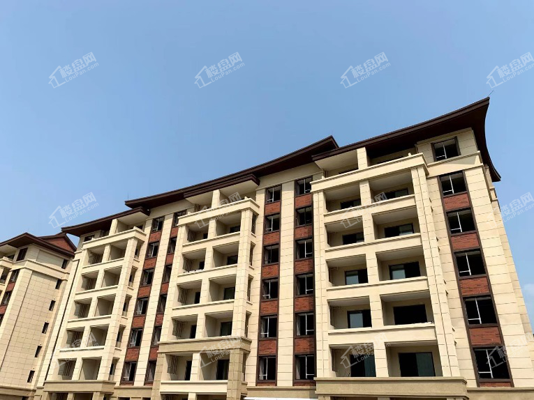 三盛璞悦海工程进度 匠心常筑温情长存-厦门楼盘网