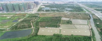 广州海珠琶洲东区一宗商住地块地价达46.9亿