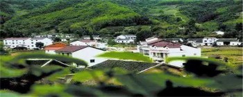 广州珠海石溪村旧村改造项目投资额高达177亿