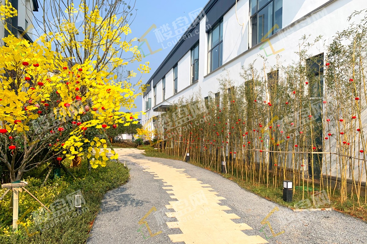 欢乐湾小镇超级ip布局九江一站式欢乐度假胜地就在家门口